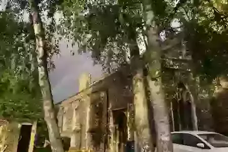 Song of Praise